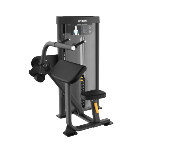 Precor Vitality Triceps Extension